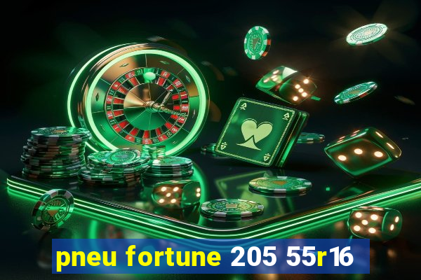 pneu fortune 205 55r16