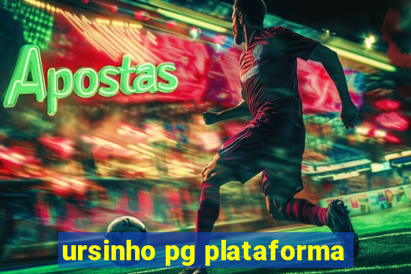 ursinho pg plataforma