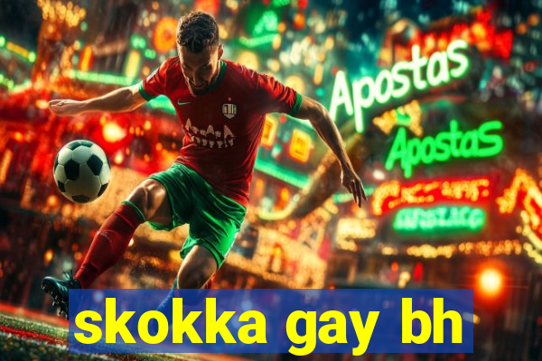 skokka gay bh