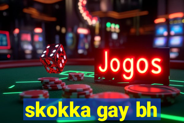 skokka gay bh