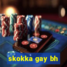 skokka gay bh