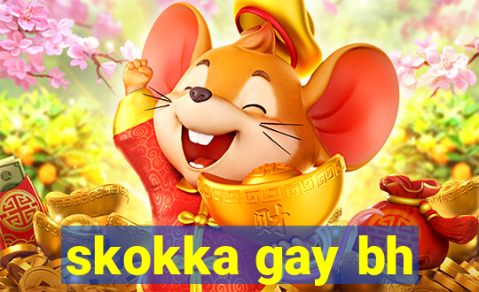 skokka gay bh