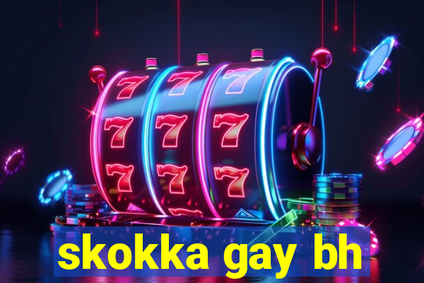 skokka gay bh