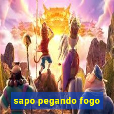 sapo pegando fogo