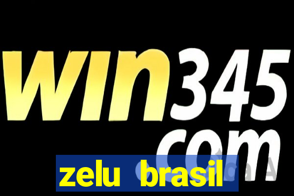 zelu brasil facilitadora de pagamentos ltda jogos