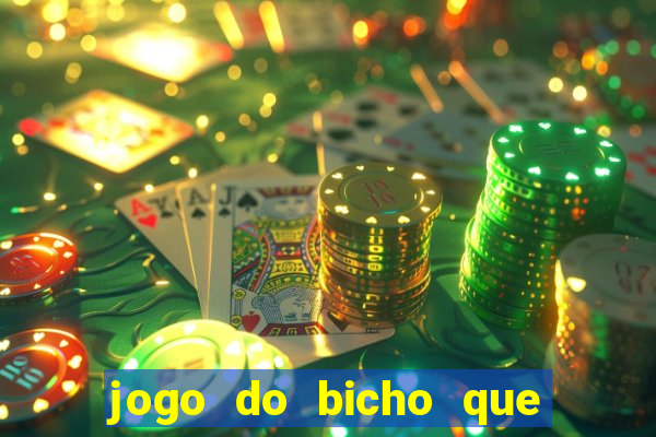 jogo do bicho que da dinheiro