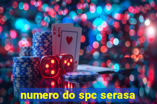 numero do spc serasa