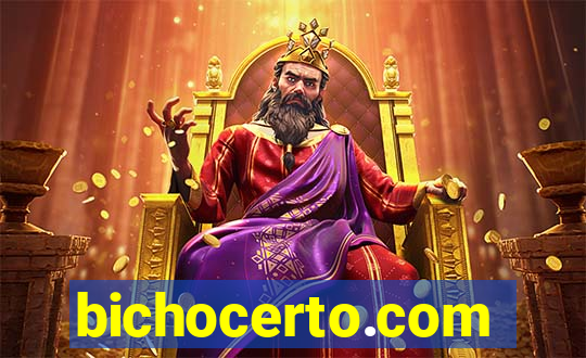 bichocerto.com