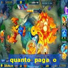 quanto paga o jungle fight