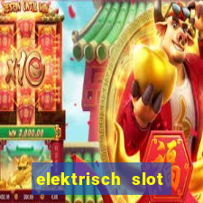 elektrisch slot houten poort