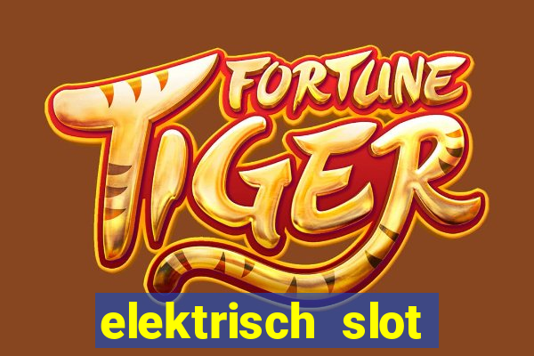 elektrisch slot houten poort