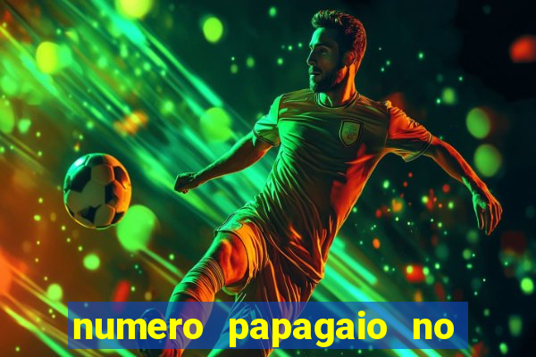 numero papagaio no jogo do bicho