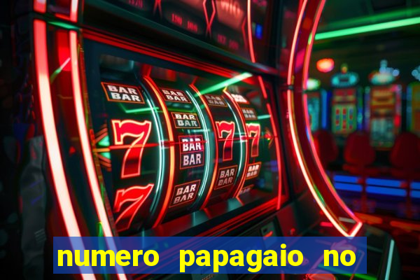 numero papagaio no jogo do bicho