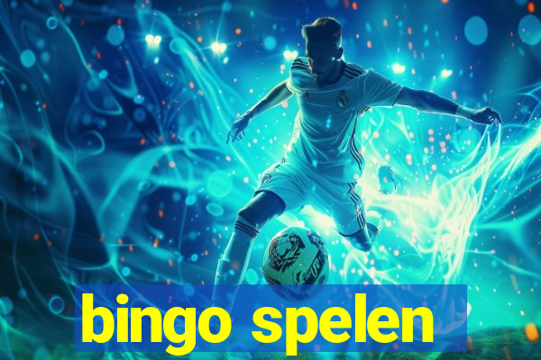 bingo spelen