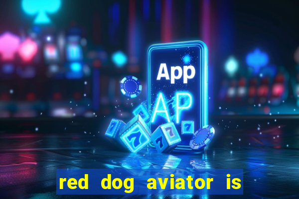 red dog aviator is real or fake