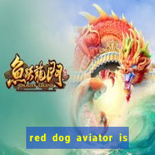 red dog aviator is real or fake