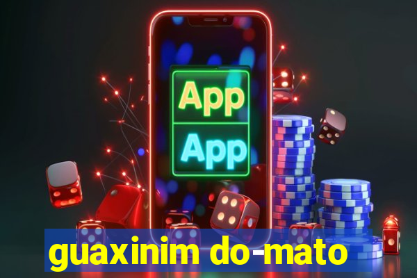 guaxinim do-mato