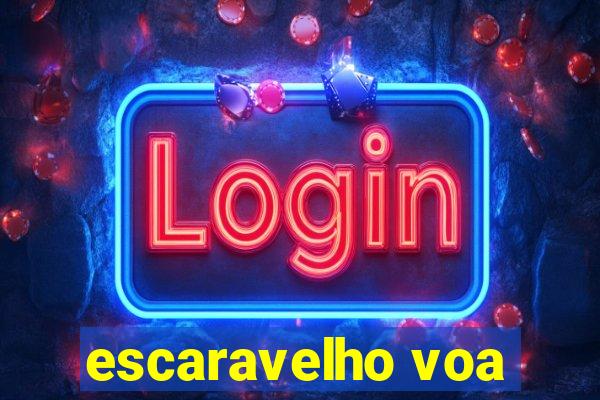 escaravelho voa