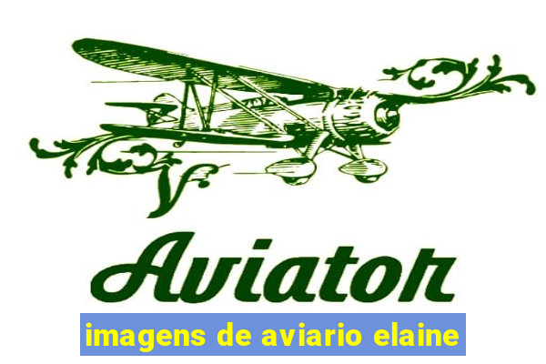 imagens de aviario elaine