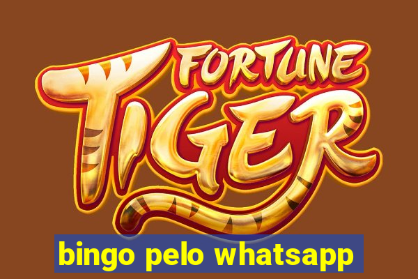 bingo pelo whatsapp