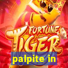 palpite in