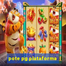 pote pg plataforma