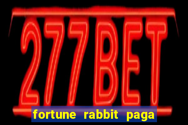 fortune rabbit paga que horas