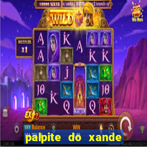 palpite do xande para hoje