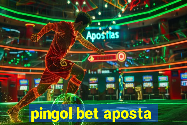 pingol bet aposta