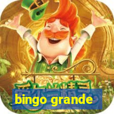 bingo grande