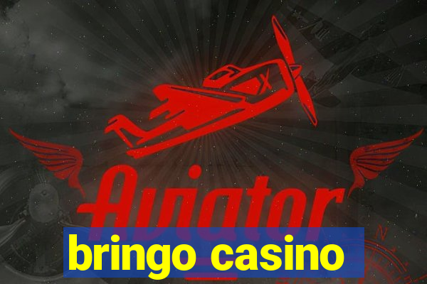 bringo casino