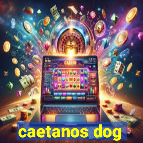 caetanos dog