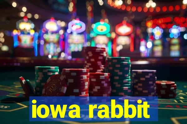 iowa rabbit