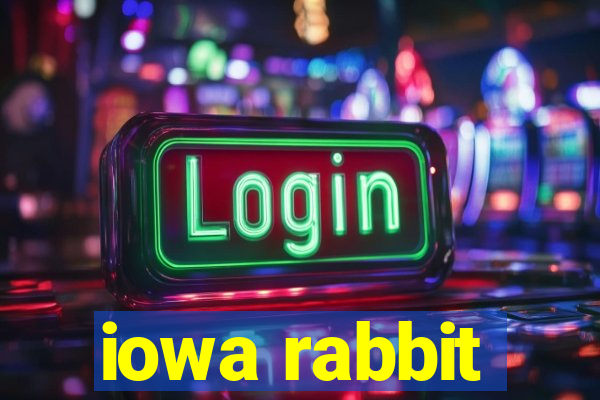 iowa rabbit