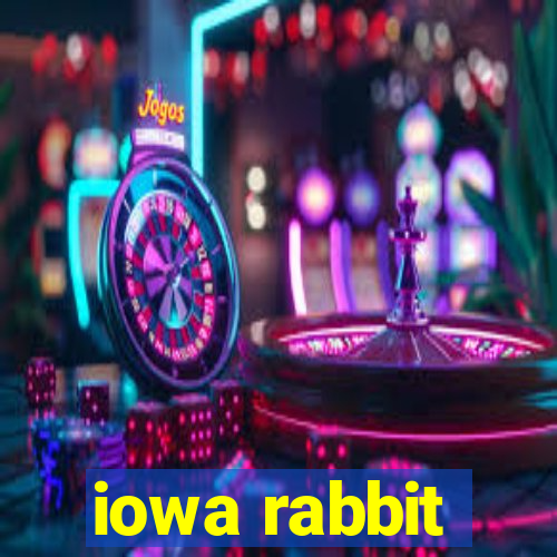 iowa rabbit