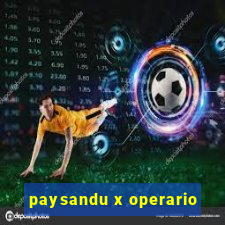 paysandu x operario