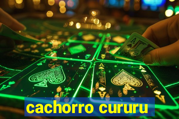 cachorro cururu