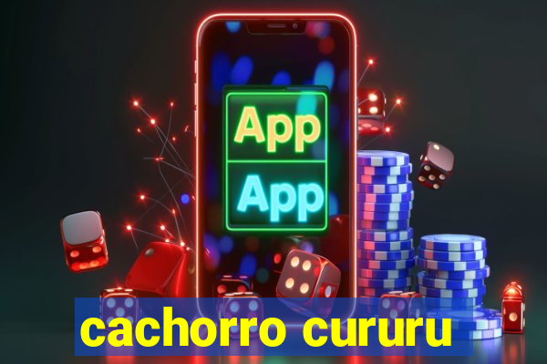 cachorro cururu