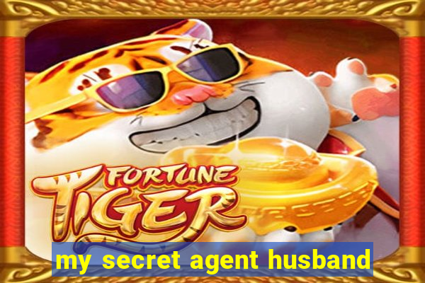 my secret agent husband