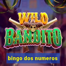 bingo dos numeros