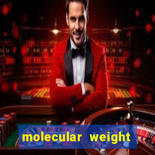 molecular weight beta actin