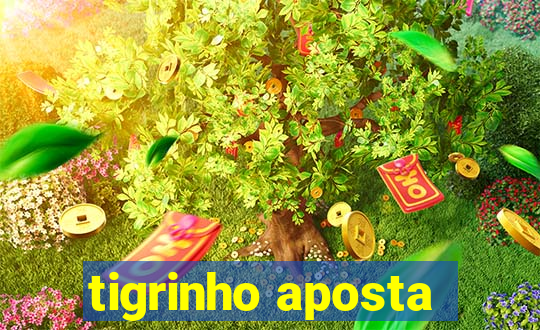 tigrinho aposta