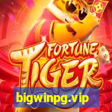 bigwinpg.vip