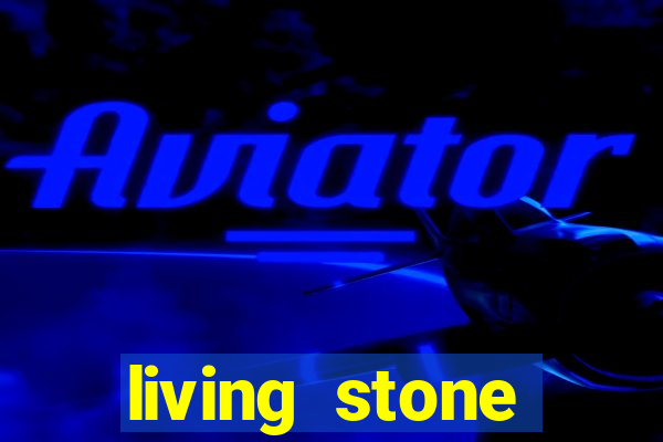 living stone network tv