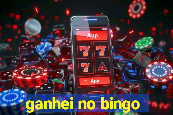 ganhei no bingo