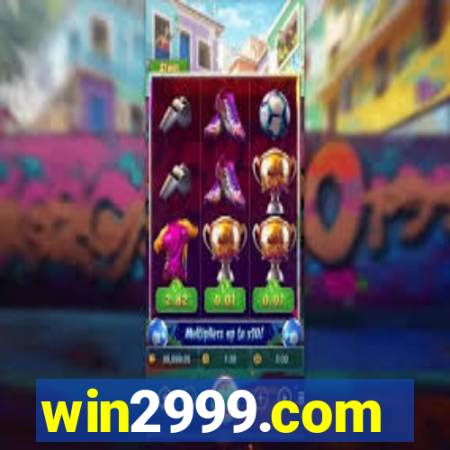 win2999.com