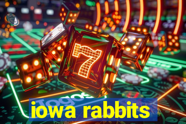 iowa rabbits