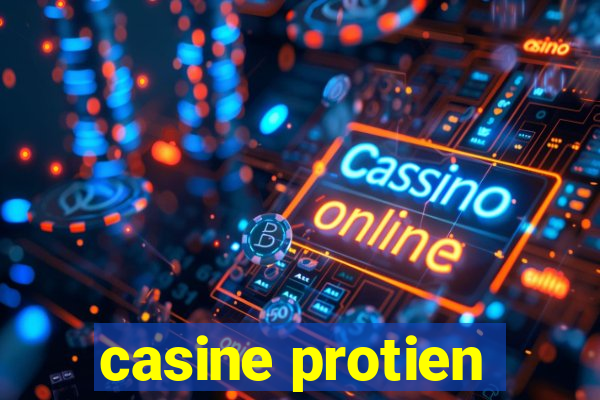 casine protien