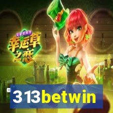 313betwin