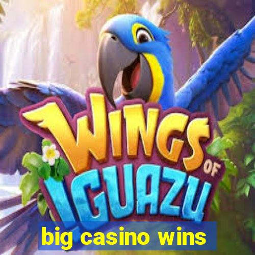 big casino wins